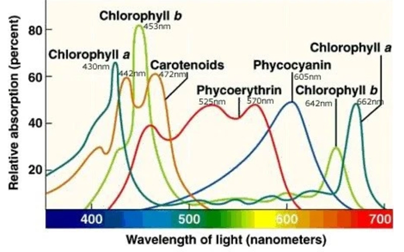 light assessment 001